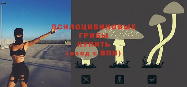spice Баксан
