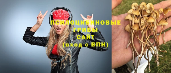 spice Баксан