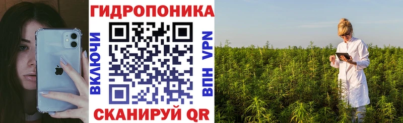 купить наркотики цена  Петрозаводск  Канабис MAZAR 